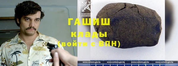 прущие грибы Верея
