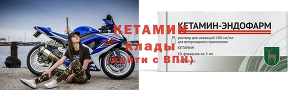 прущие грибы Верея
