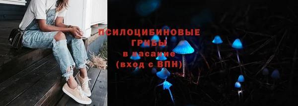 прущие грибы Верея