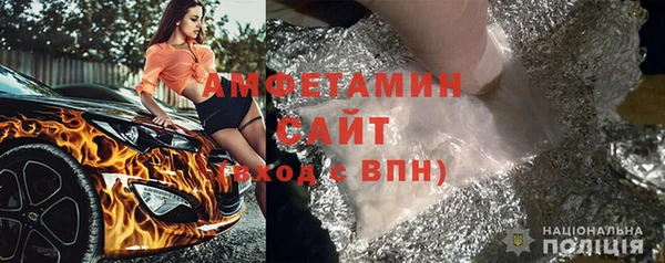 прущие грибы Верея