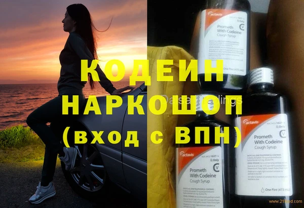 прущие грибы Верея