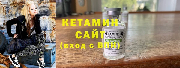 прущие грибы Верея
