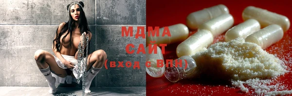 прущие грибы Верея