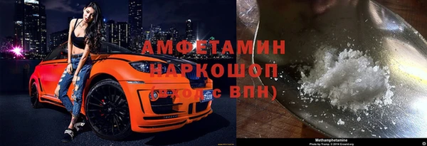 прущие грибы Верея