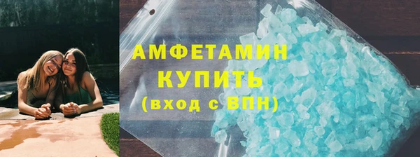 прущие грибы Верея